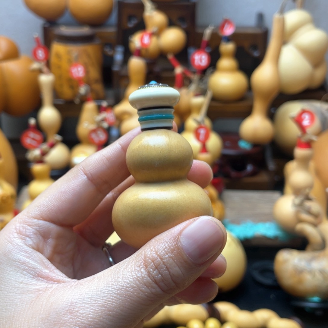 丹大自然的秘密第十一节你是谁