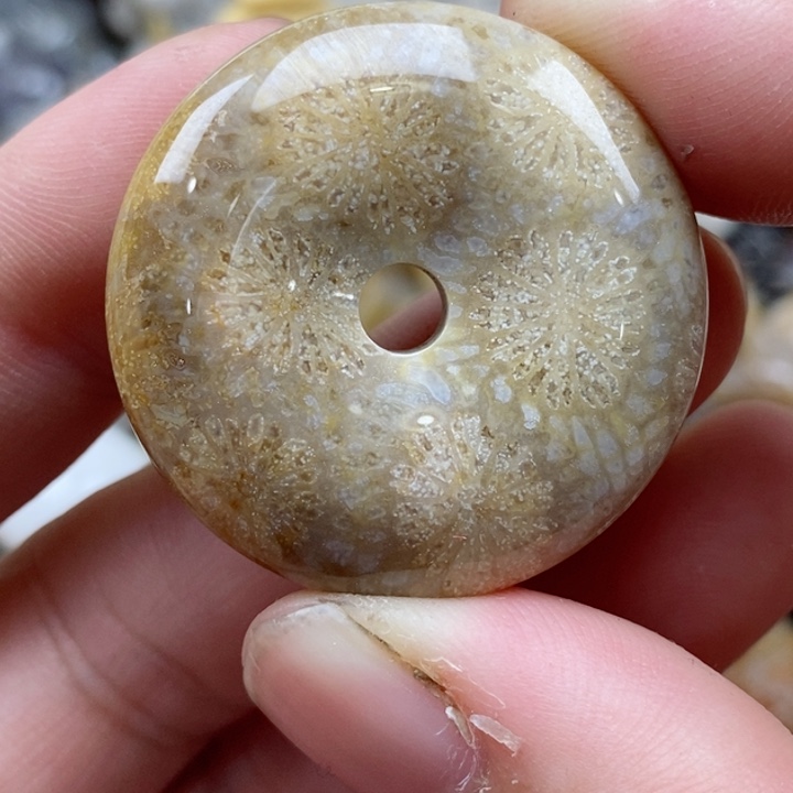 颈饰未镶嵌硅化珊瑚（珊瑚玉）