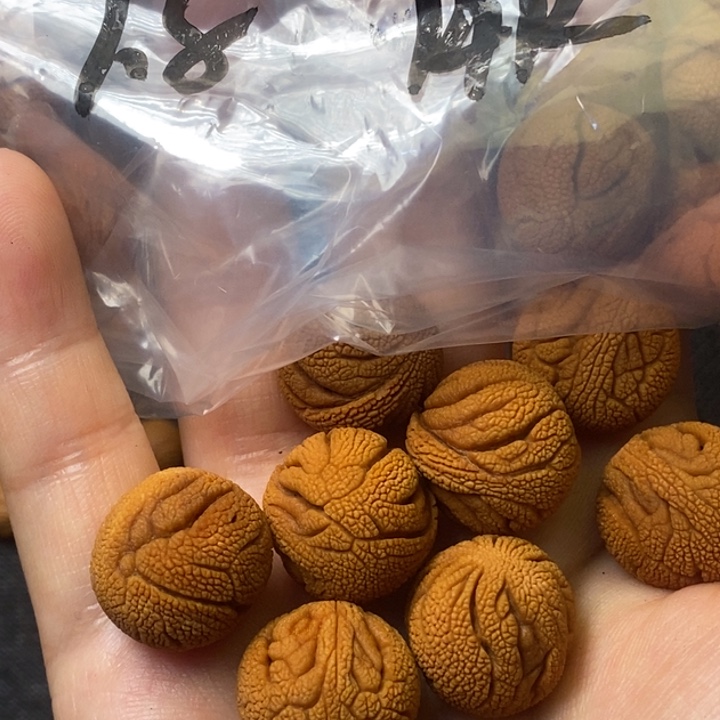 桃核吊坠秦岭山野生桃核