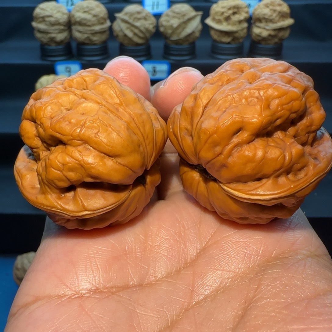 小***物桃核把件蟾祖核桃