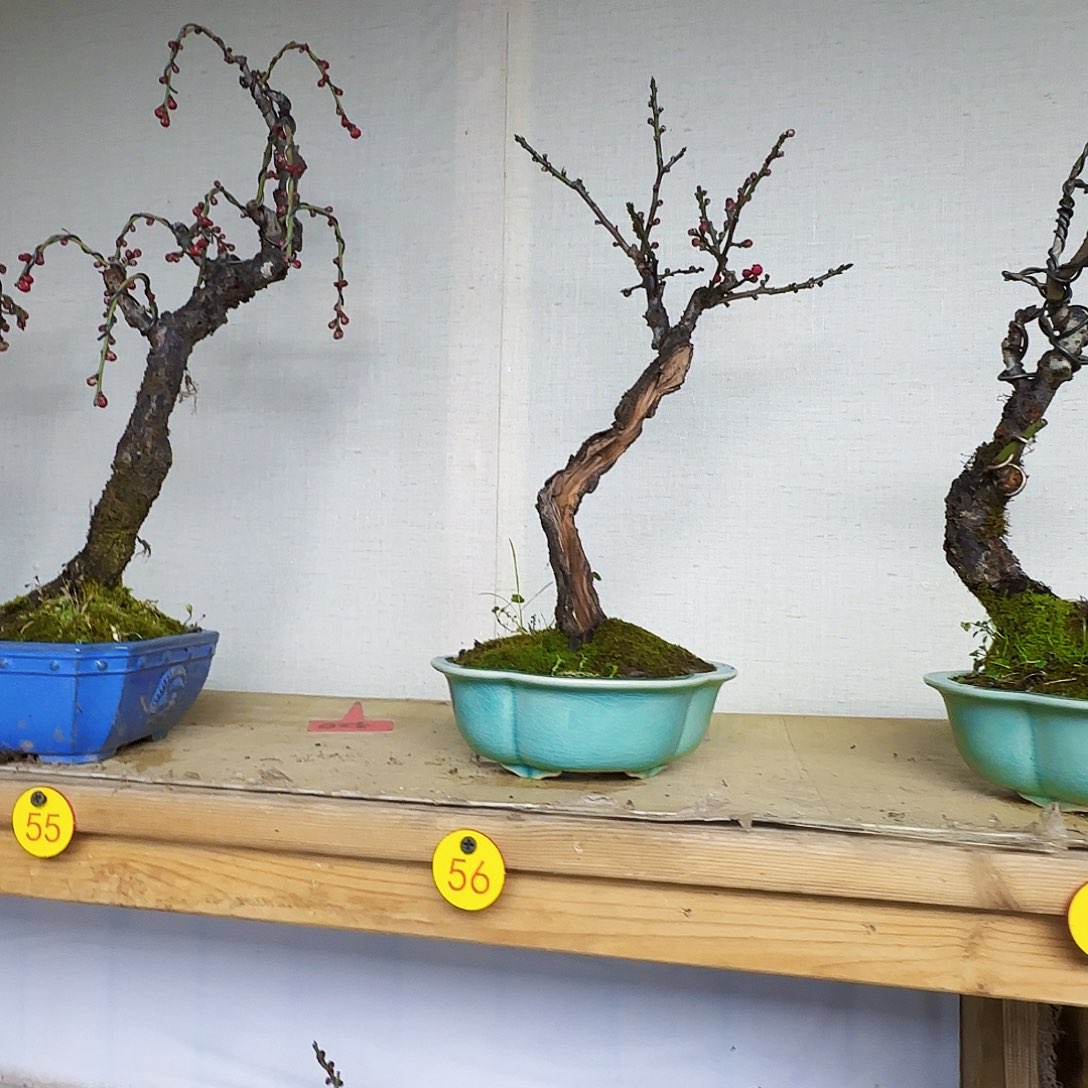 j***y无花朵风格干活健康看看