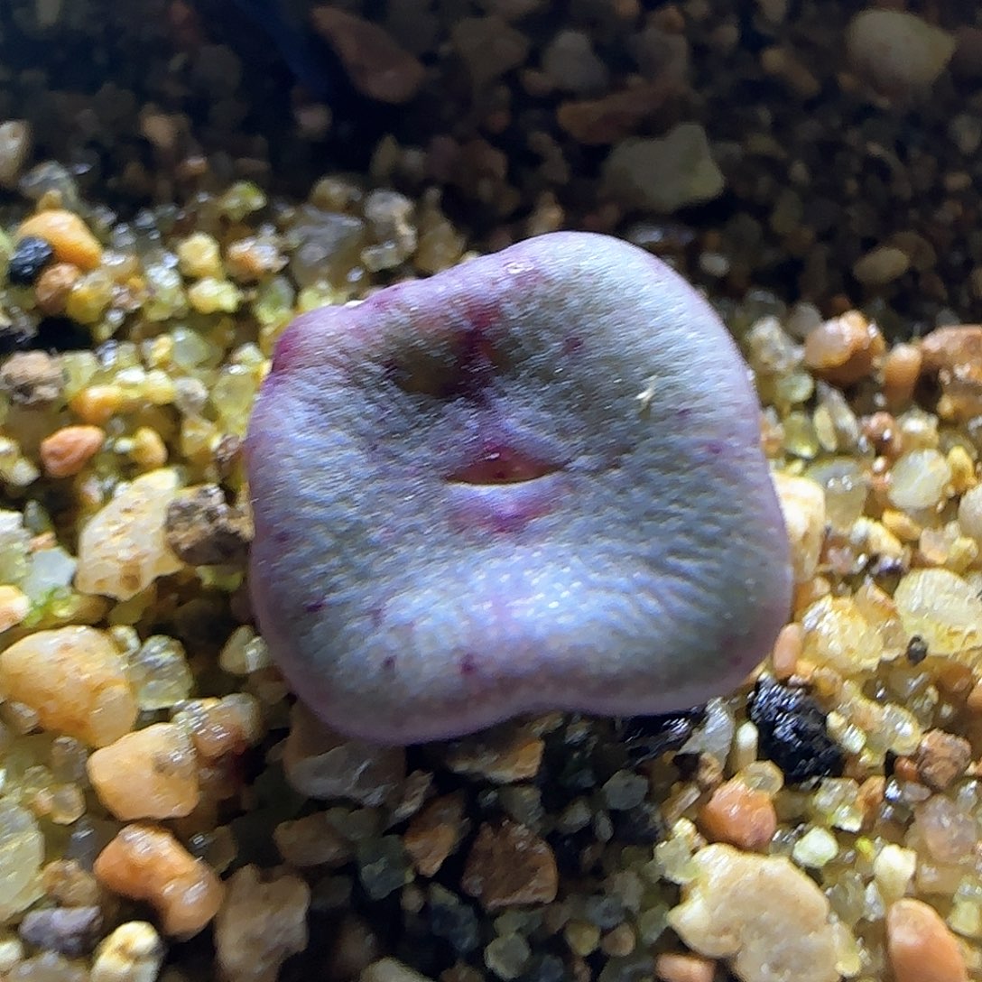 哈哈哈哈哈哈哈58286