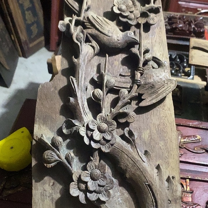 香榧木事**利好的