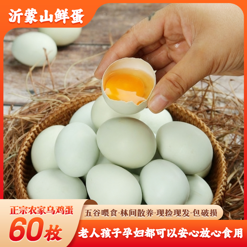 【60枚乌鸡绿壳蛋】沂蒙山树林农家散养生态新鲜乌鸡蛋土鸡蛋
