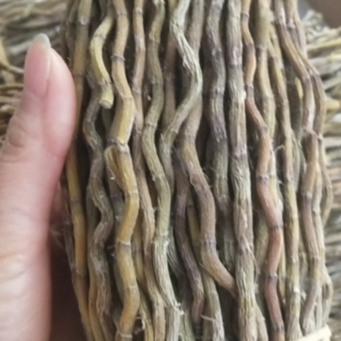 精选铁皮石斛干条枝条饱满胶质多可煲汤泡水泡酒