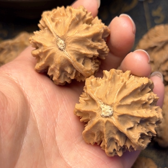 文玩核桃吊坠秦岭核桃22