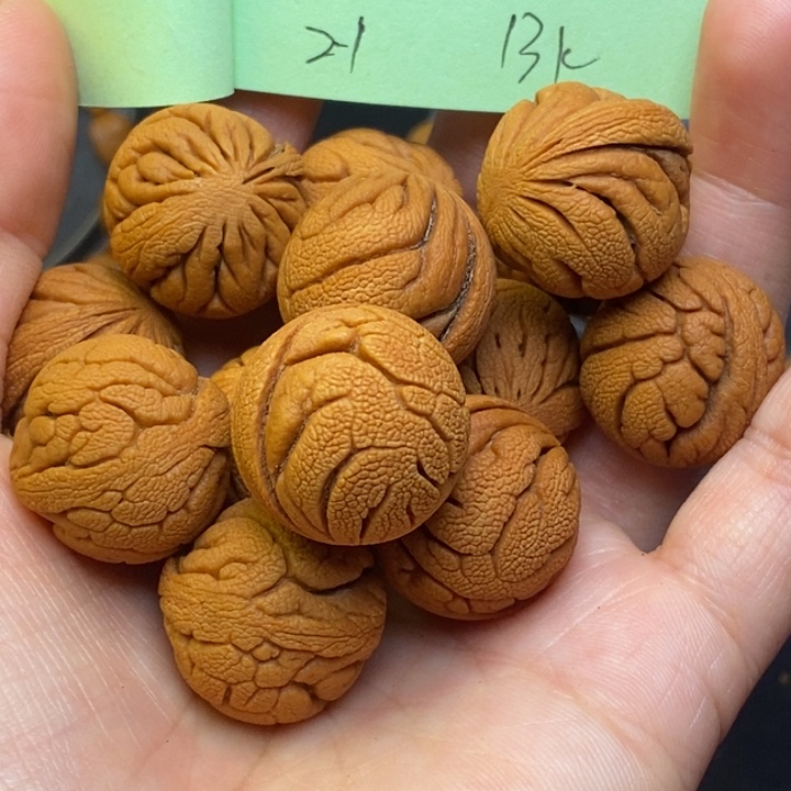 桃核吊坠秦岭龙纹桃核21尺寸