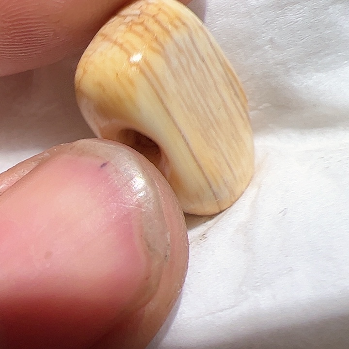 香榧木在这里的时候