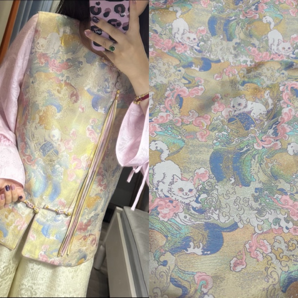 国风乘风破浪猫织金外套马甲套装棉衣儿童手工面料布料