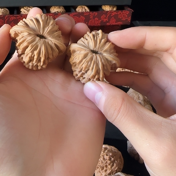 烟****吊坠龙脊菩提啊啊啊啊啊啊啊啊四座楼13