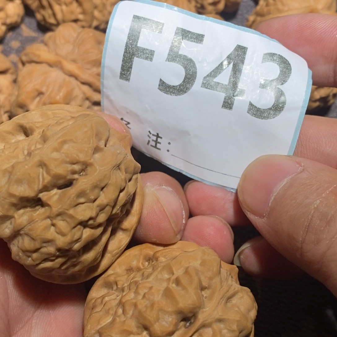 别***！文玩核桃把件蛤蟆头