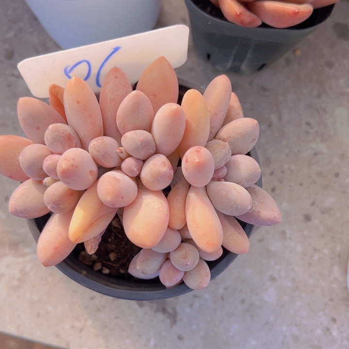 健健康康平平安安