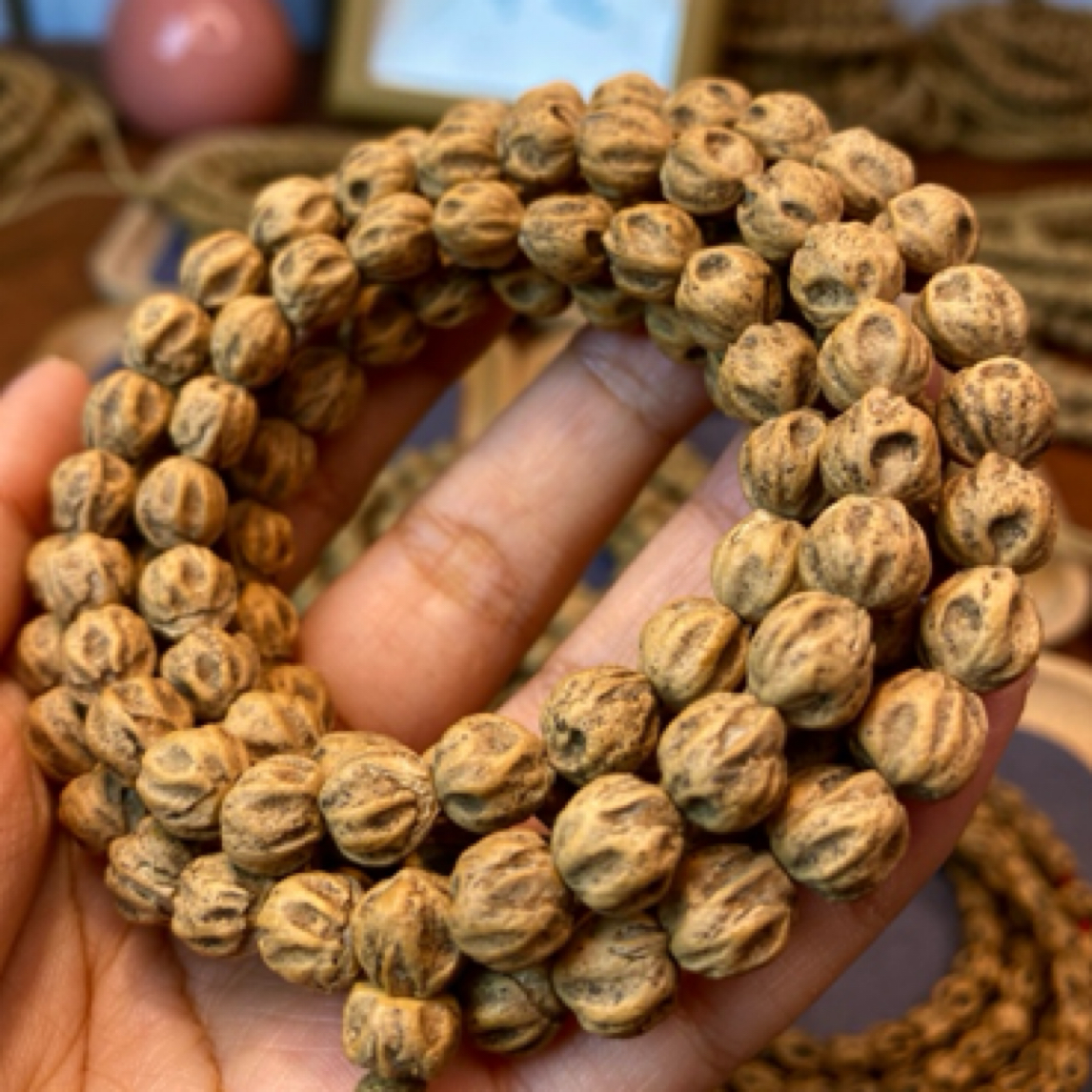 毕业款柏香 深坑鬼脸狮驼热振百香