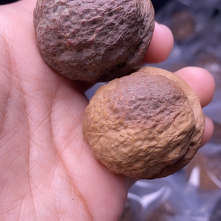 文玩核桃吊坠  154