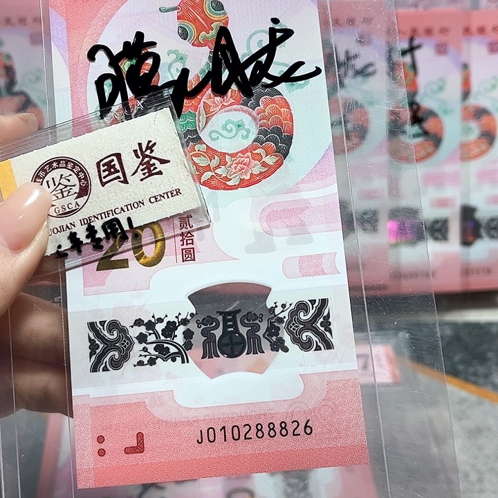 塑料010288826。。。。。朦胧 豹子身