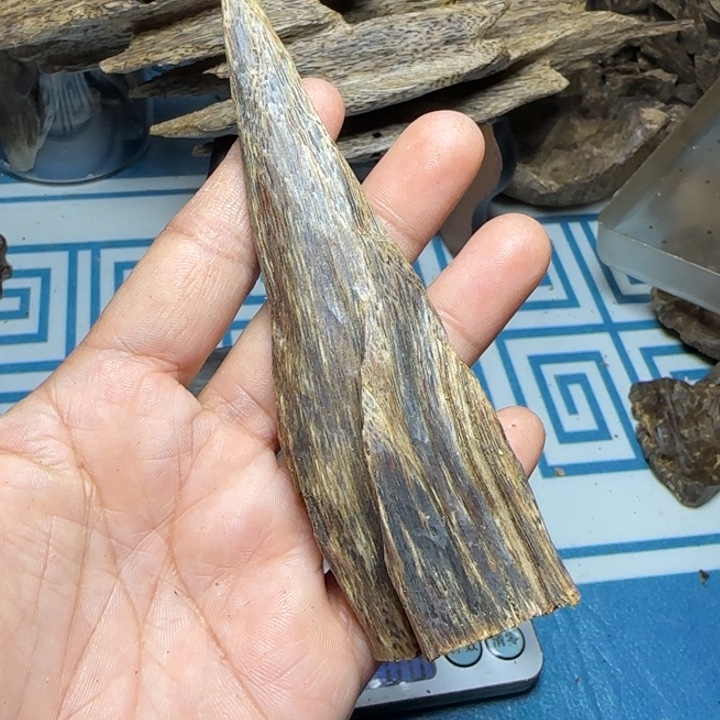 香粉红奇树心虫漏18克