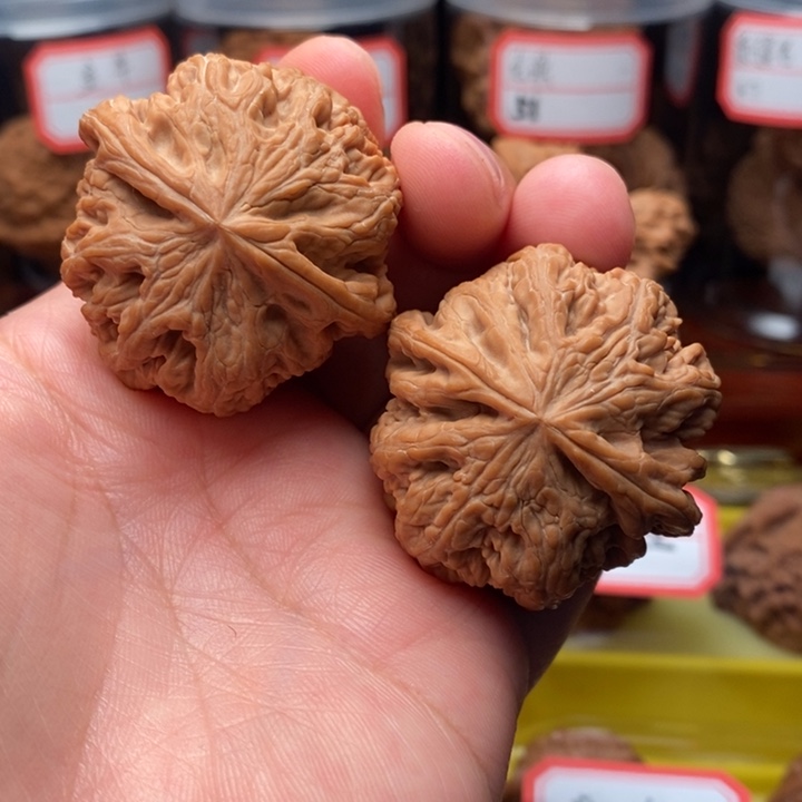 核桃麻核桃大粗筋40尺