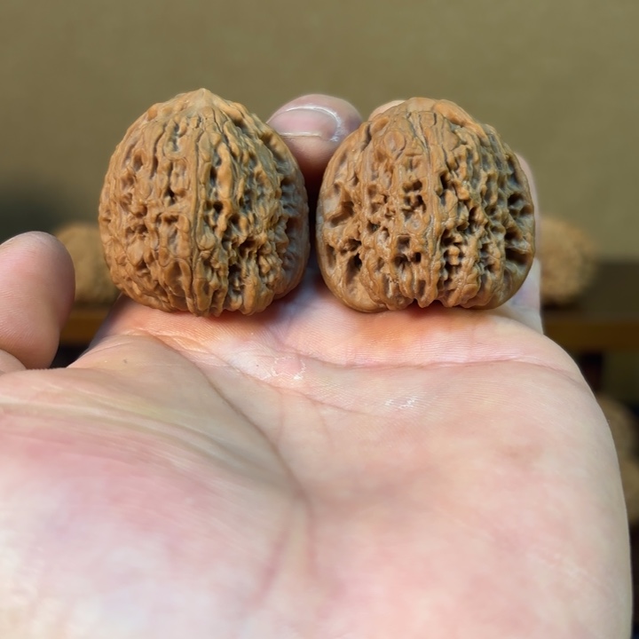 逐鹿南疆石红皮无修