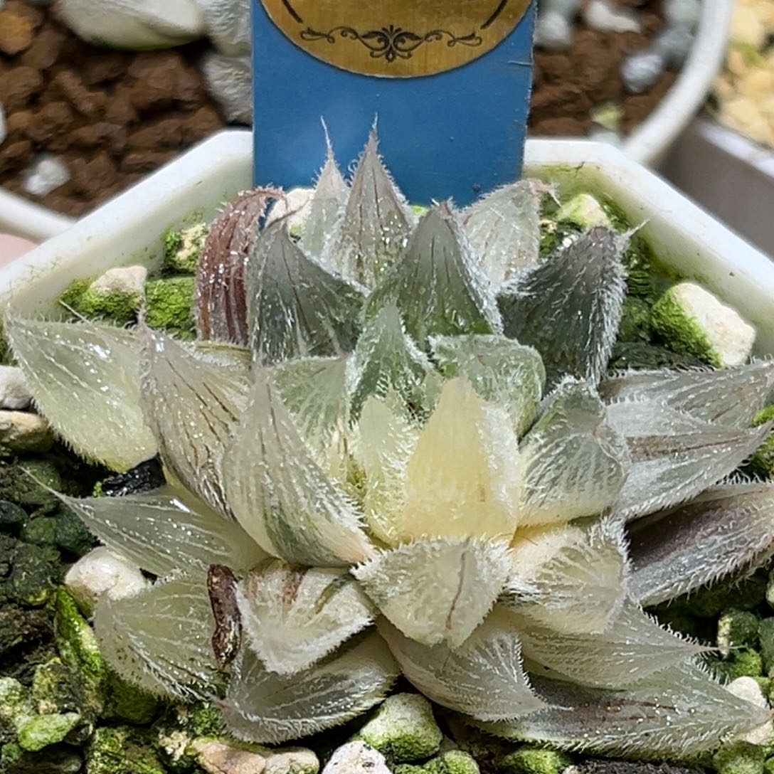 恭喜发财大吉大利0248