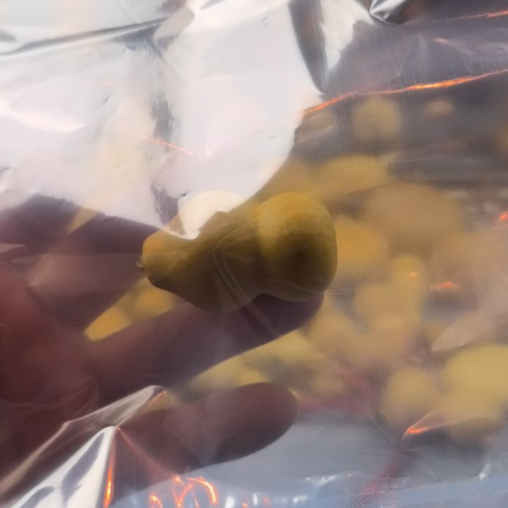 葫芦葫芦葫芦葫芦