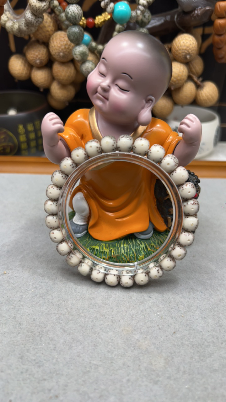 8大眼睛海南原生态星月菩提