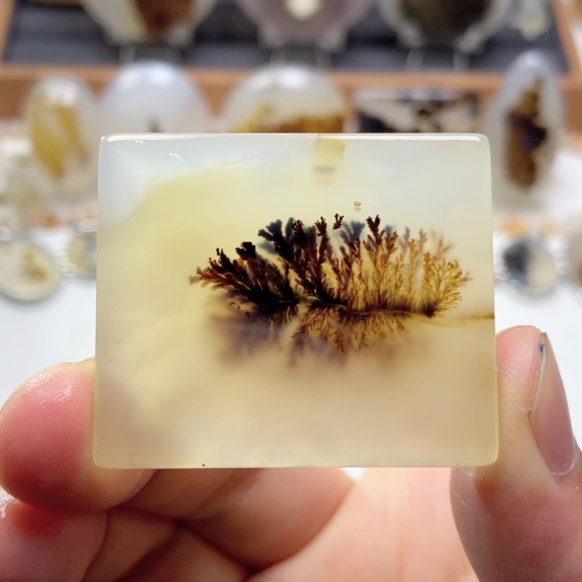 【闪购商品】玛瑙/玉髓颈饰未镶嵌