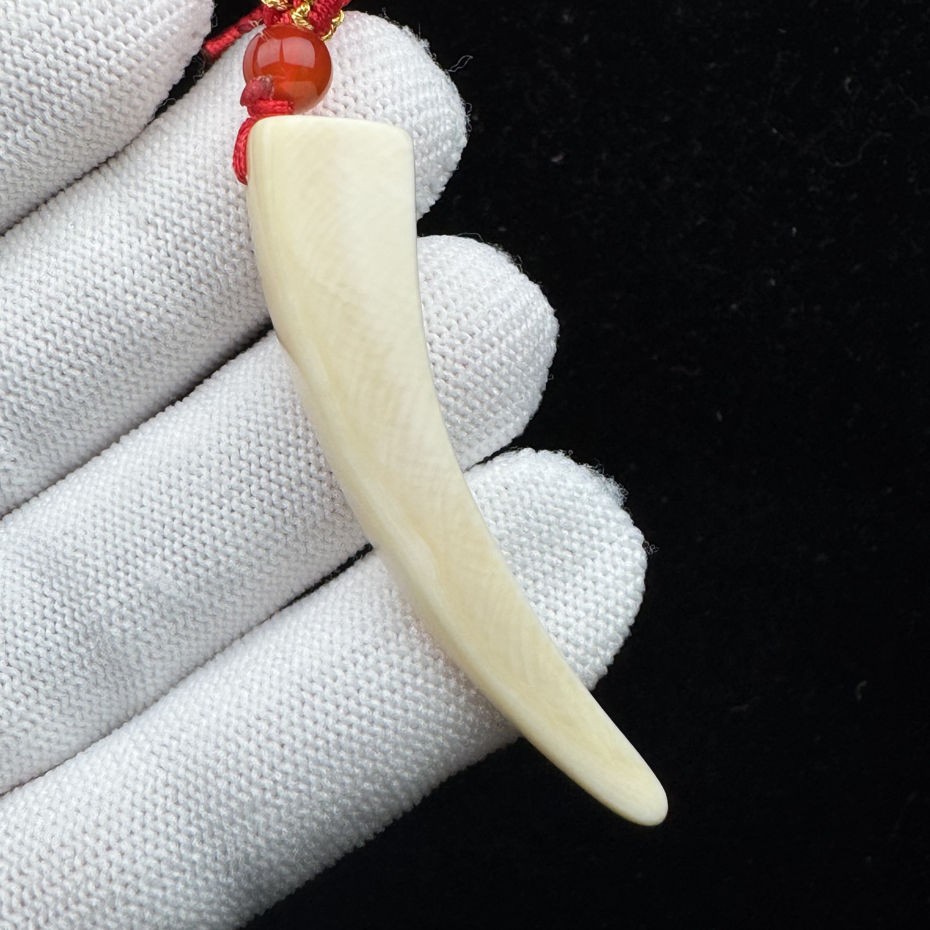 L2787天然猛犸牙 牙尖54mm支持鉴定假一罚四