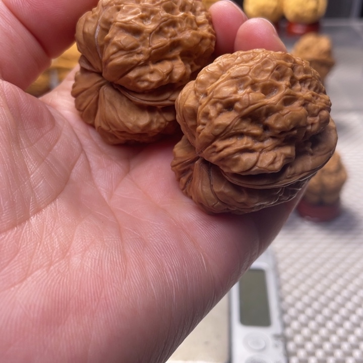 文玩核桃把件12霸王蟾