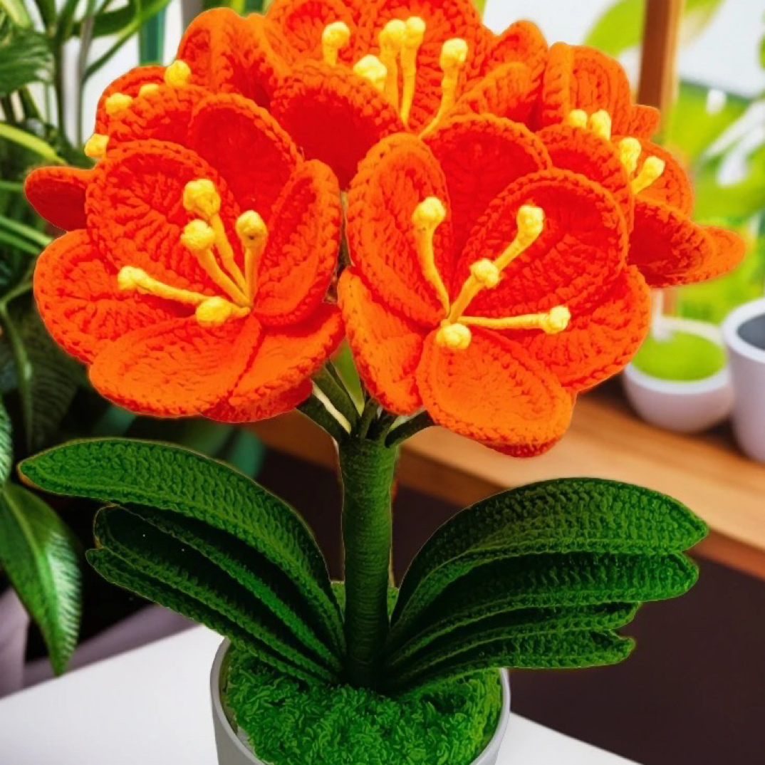 小琴家，手工毛线编织君子兰材料包，下单视频教程