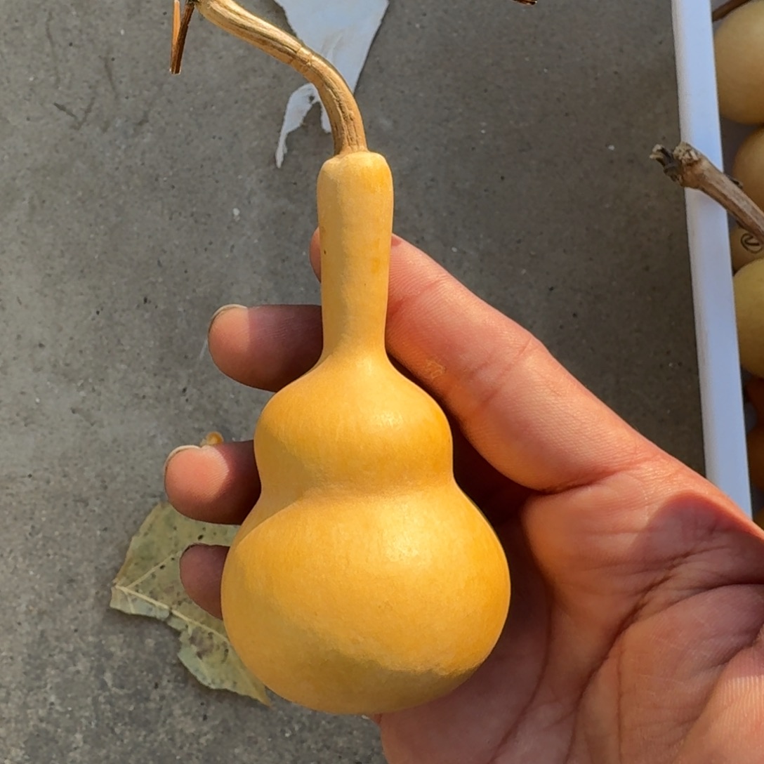 ～***～那就是说他没去上课