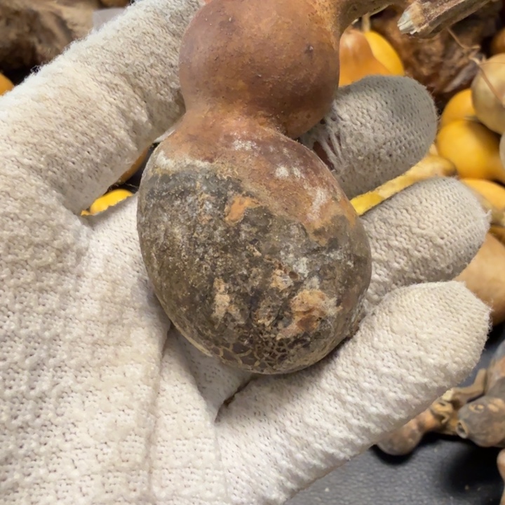 中***邢666666667777777778888