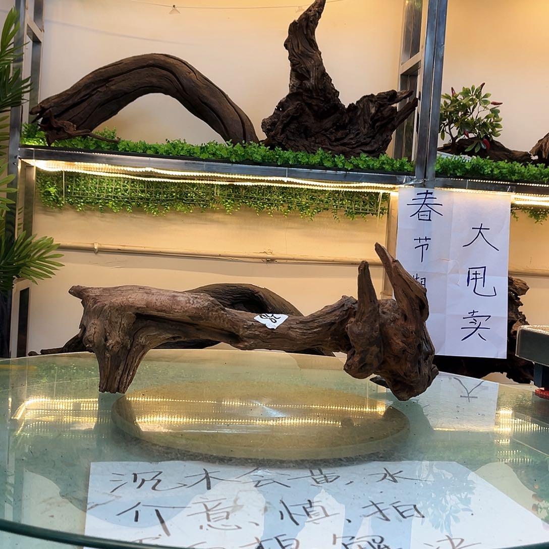 柚木沉木鱼缸造景