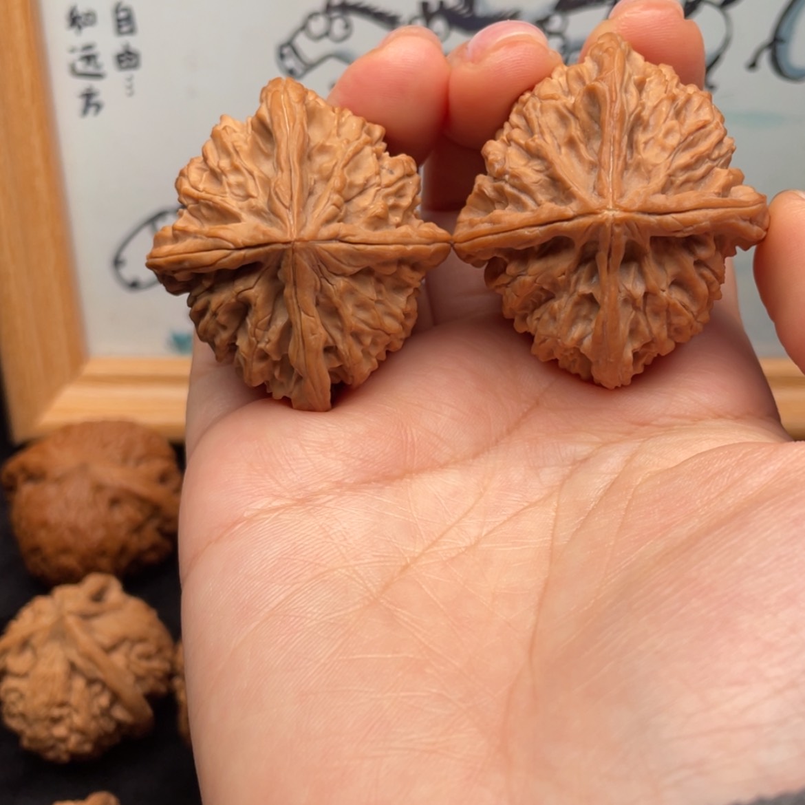 【闪购商品】文玩核桃把件42玉玺四棱 微修