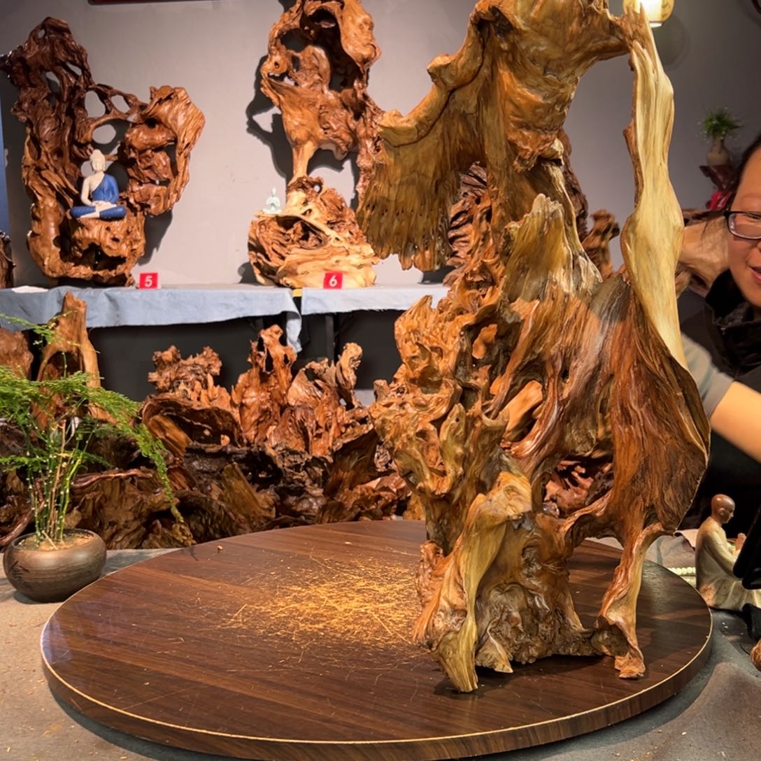 天****香杉木778aaaaaasss