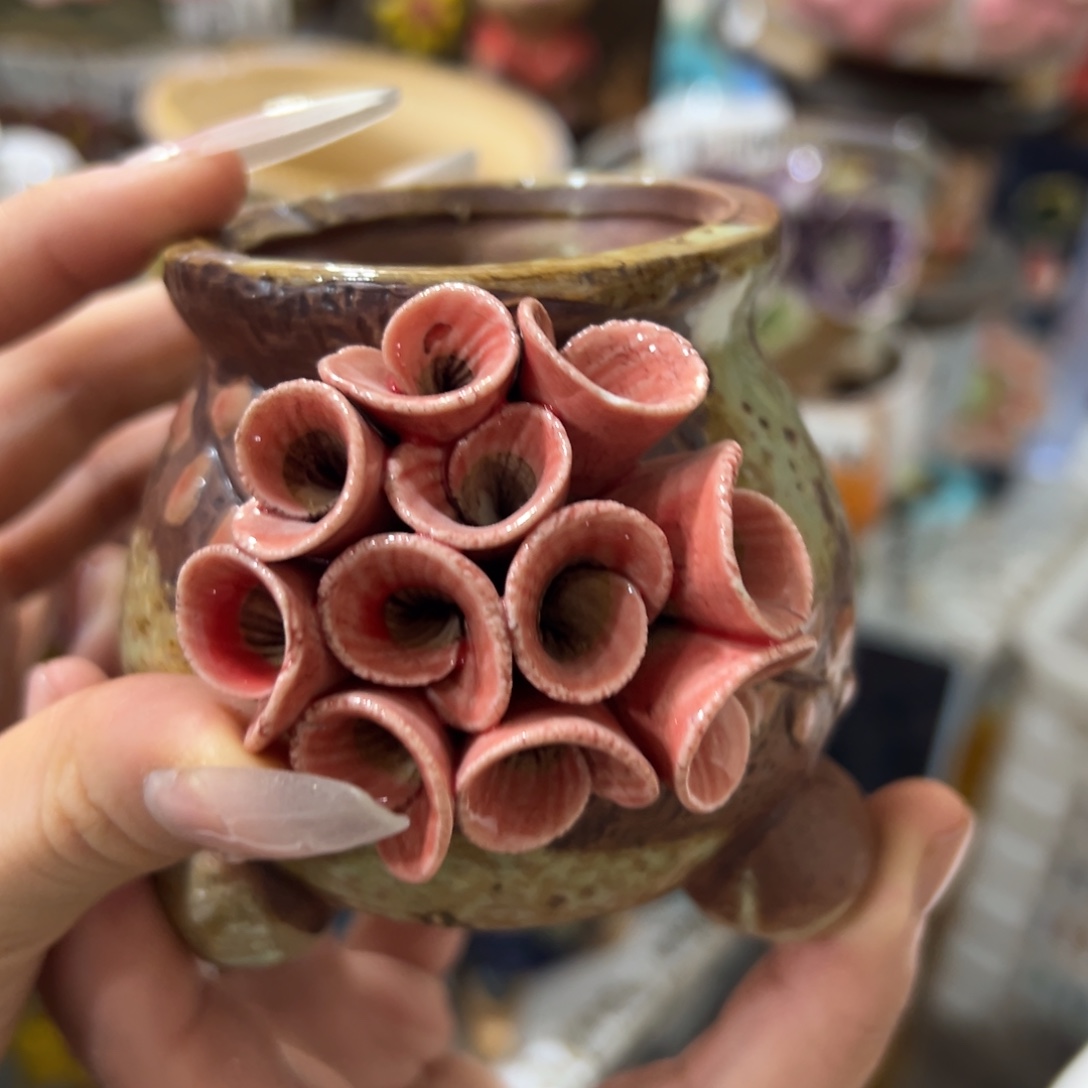 花盆满20发秒拍秒退拉