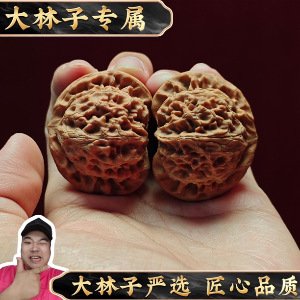 【大林子·甄选】 头茬桃心宫灯狮子头 （多样性发其一）