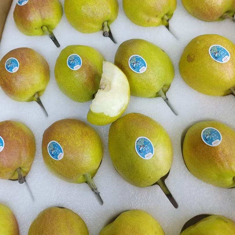 新疆库尔克香梨一箱6.5斤