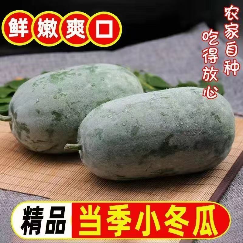 【到手九斤】新鲜小冬瓜挂霜水果冬瓜迷你冬瓜新鲜蔬菜4-5斤