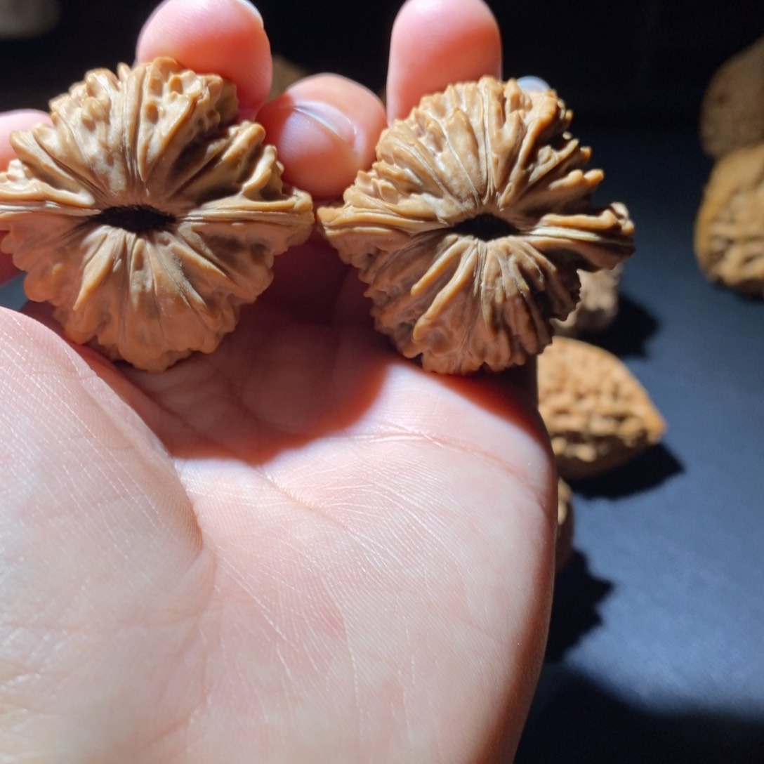 文玩核桃吊坠月***茶山地楼