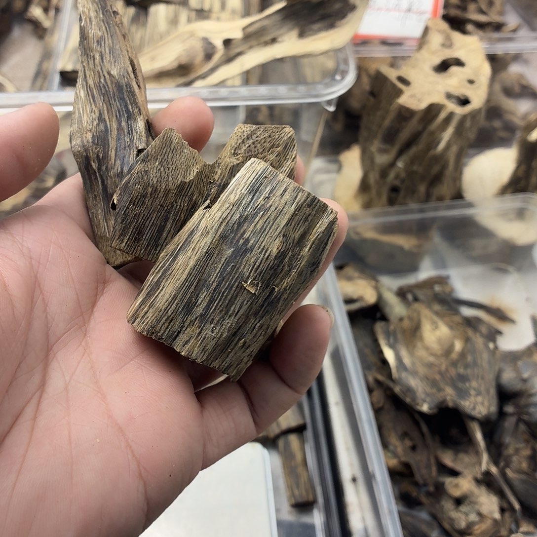 虫漏36克包邮到家