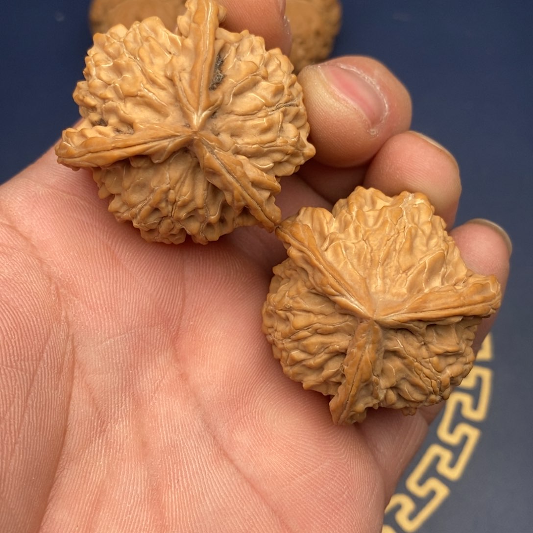 文玩核桃把件40公子帽全品