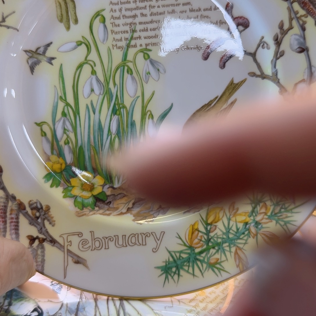 欧洲精选瓷器精品