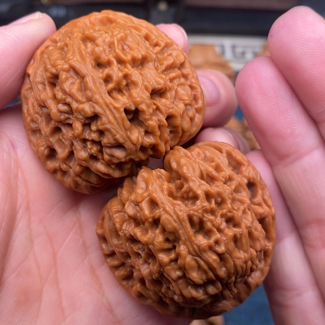 文玩核桃把件42老树南疆蚂蚁纹大肚子