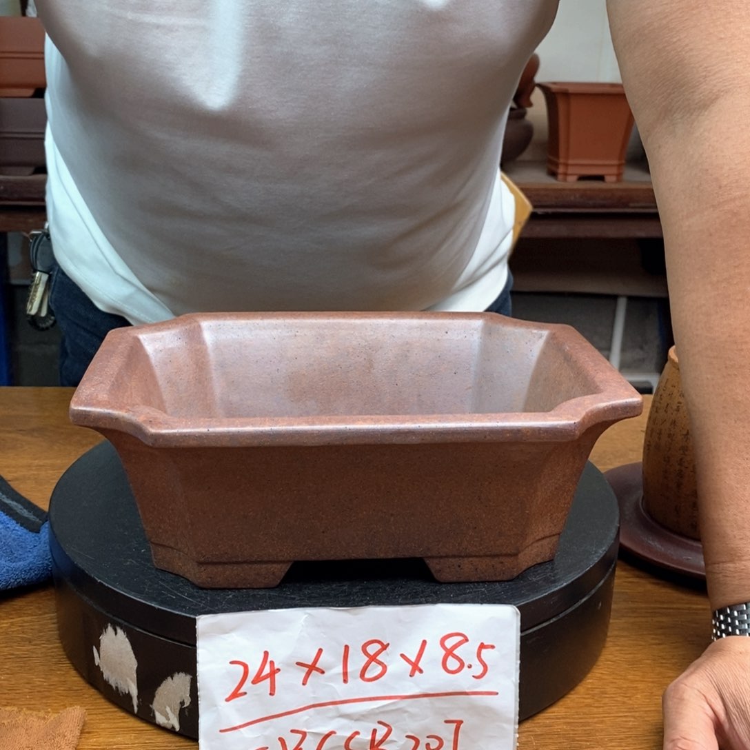 紫砂货号一只CSB207