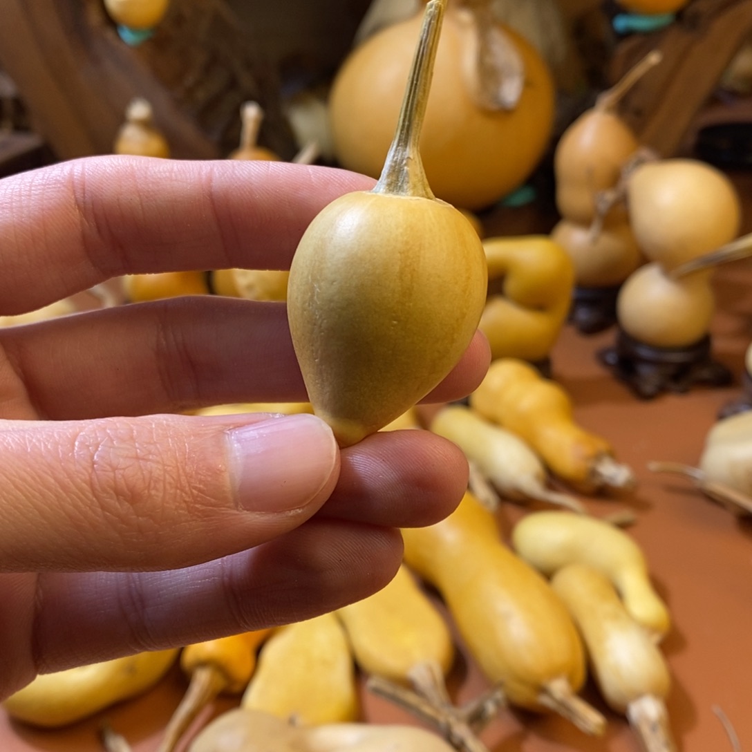 浅***๑教练教练教练经理