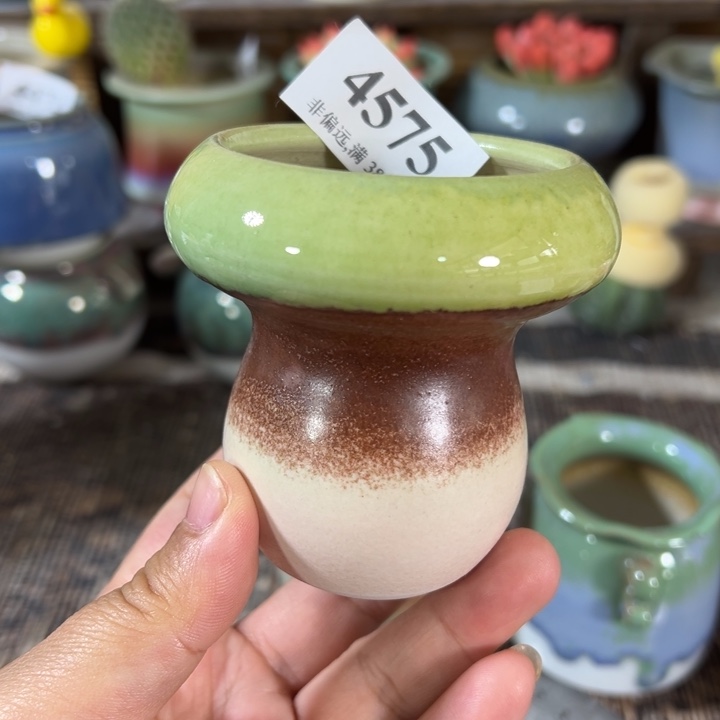 口5高7 未满30运费到付