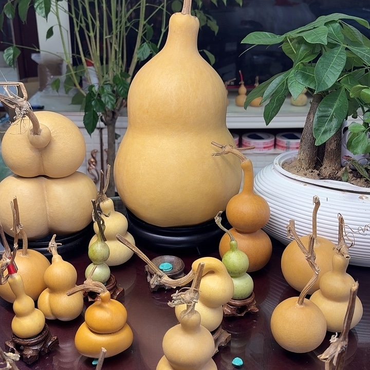 云***裳大叶紫檀（黑酸枝木类）