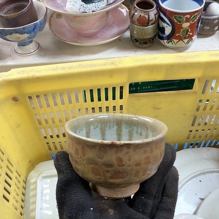 碗开播啦….开播啦