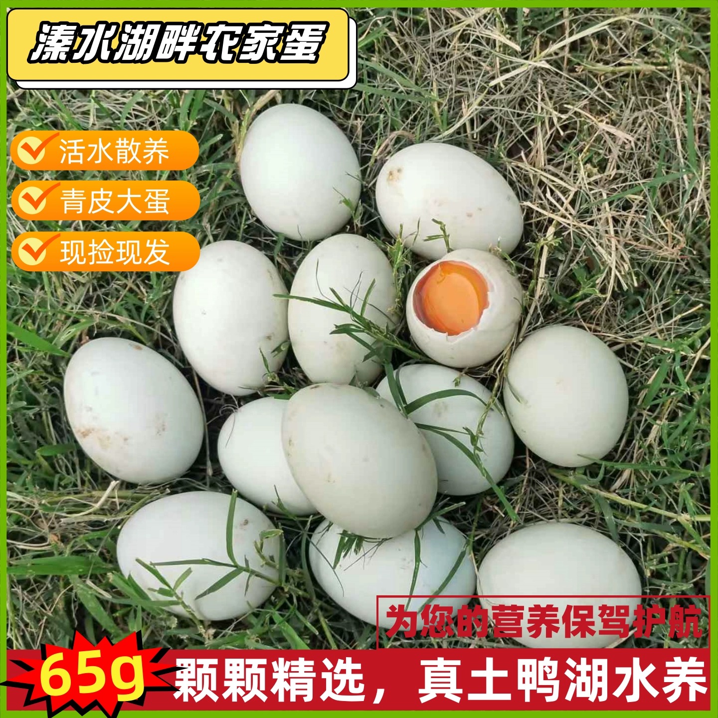 农家散养土鸭蛋生鲜鸭蛋现捡现发农家青壳蛋新鲜鸭蛋自用送礼大蛋