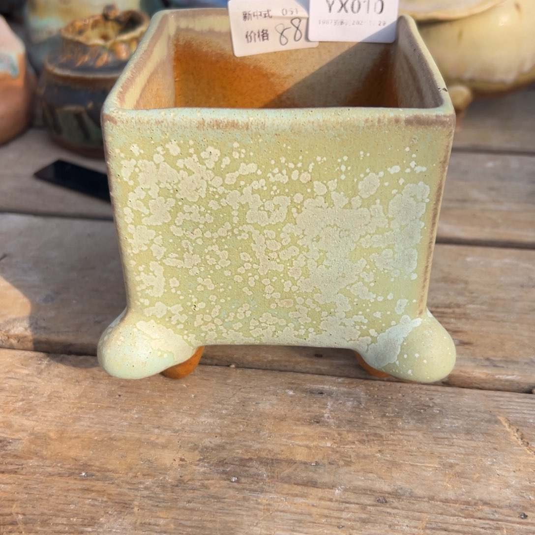 yx10神仙色小蛙腿